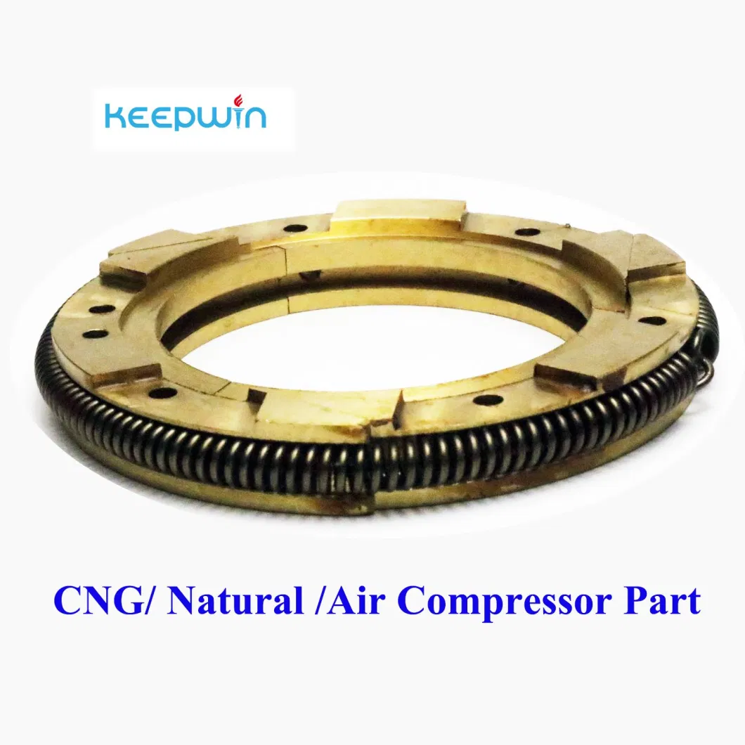 Reduce Valve Pressure Check Valve Gas Compressor Valves